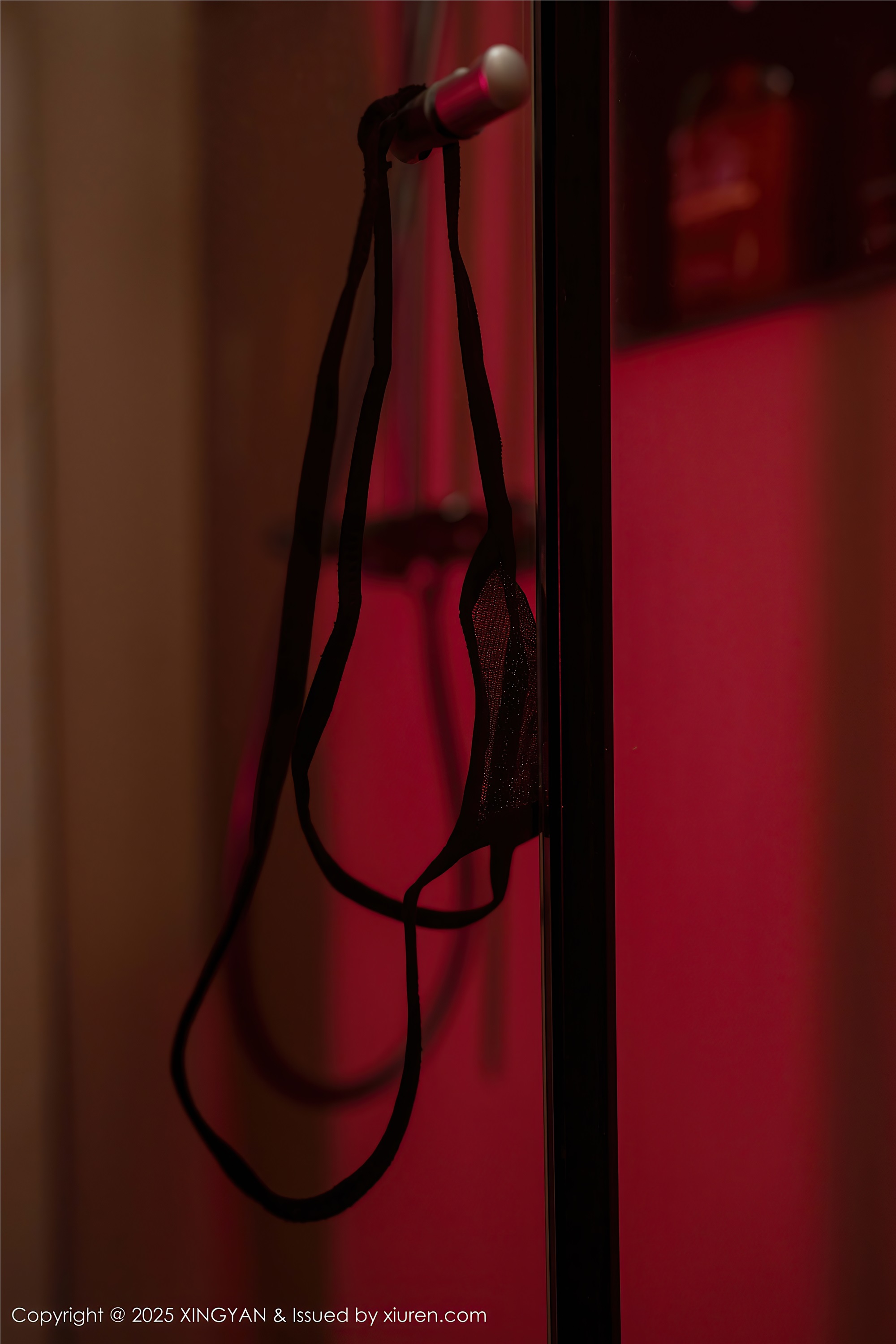 XINGYAN星颜社 2025.11.11 VOL.424 沈南汐RuRu